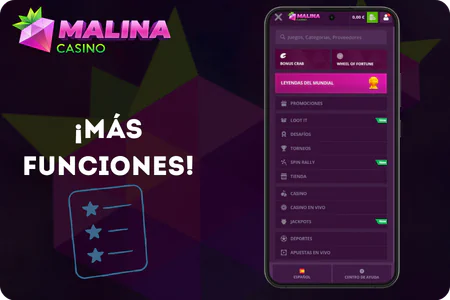 Características adicionales plataforma casino online