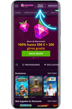 Pagina principal Malina Casino login boton de acceso